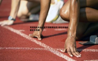 pa真人视讯-专家指出足协过度干预联赛运作 呼吁市场机制主导发展